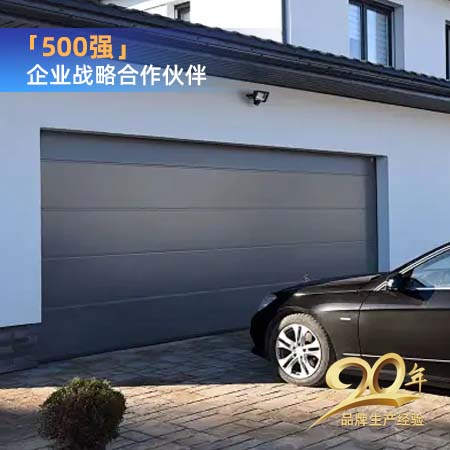 歐式別墅車庫(kù)門